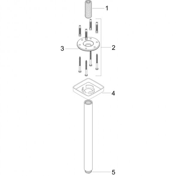 Dušo laikiklis iš lubų HANSGROHE 30 cm, 27388000 1